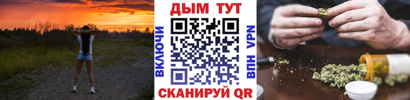 Виды наркотиков купить Прокопьевск Alpha PVP  Псилоцибиновые грибы  Гашиш  Меф  Бошки Шишки  COCAIN 
