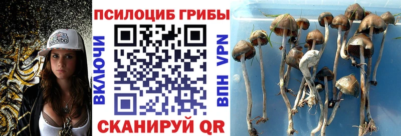 Псилоцибиновые грибы прущие грибы  наркота  Прокопьевск 